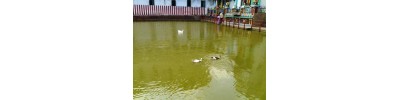 கந்தக்கோட்டம் - சென்னை